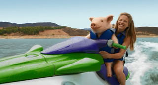 Illustration for article titled This Damn Geico Pig
